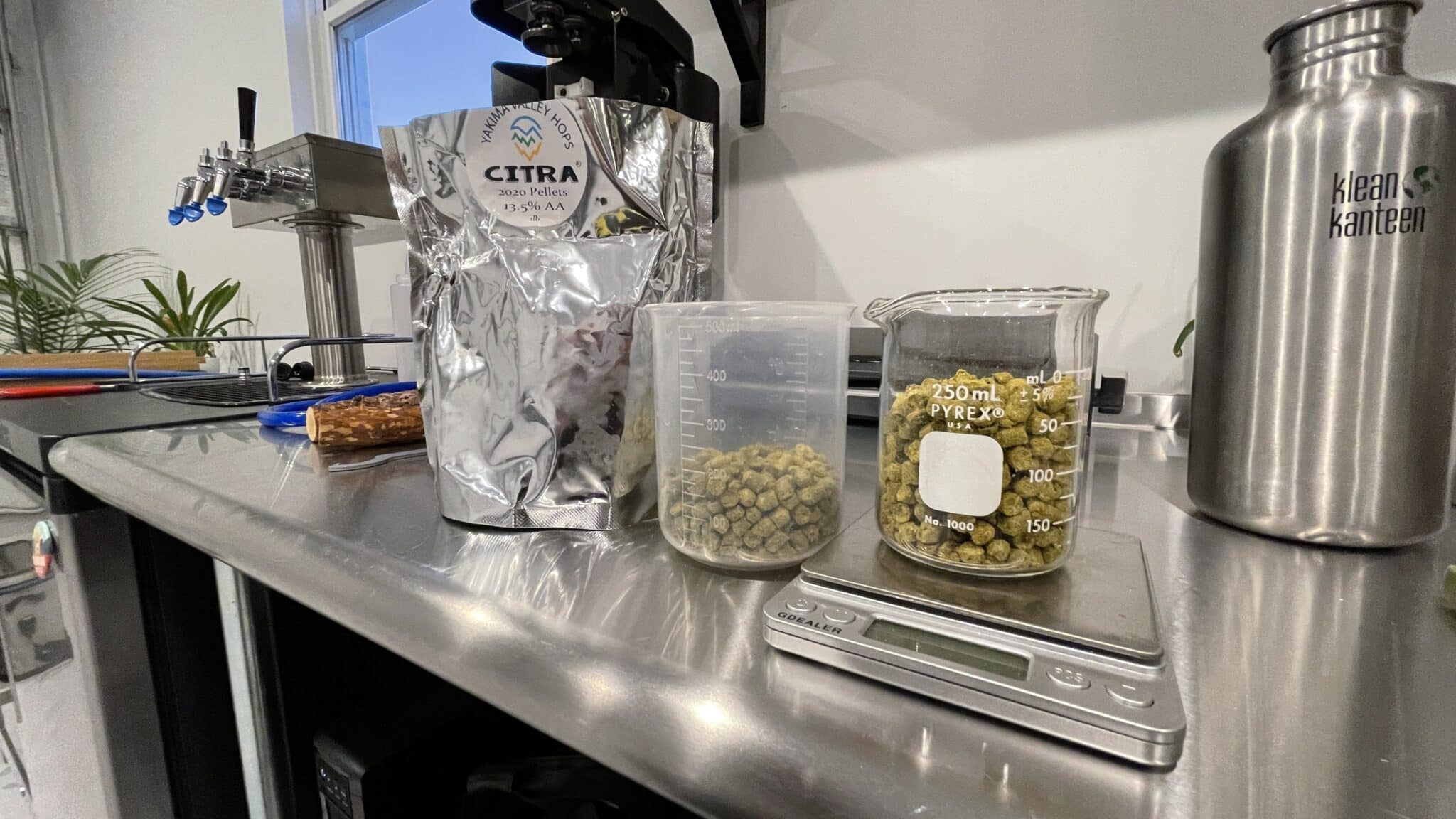 The Best Hazy IPA Recipe You Can Make At Home