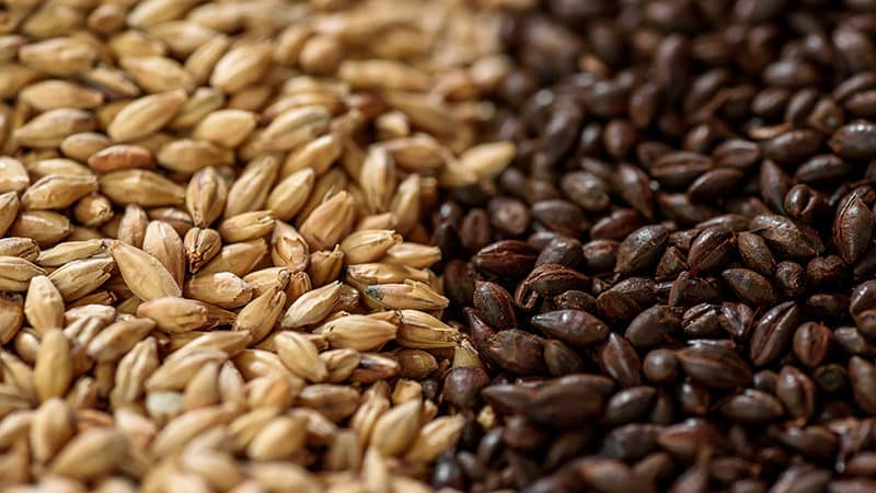The Complete List of Every Malted Barley on Earth