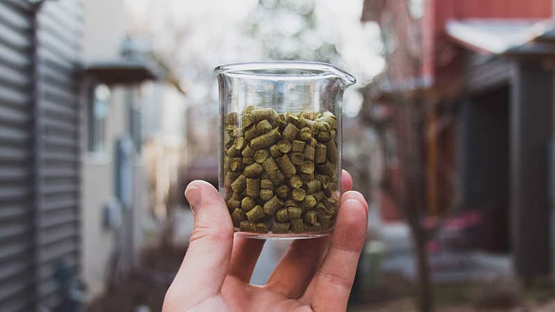 Dry Hopping