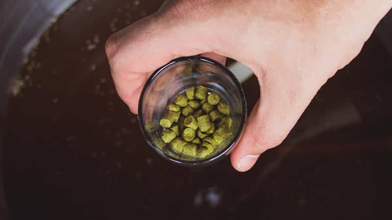 How and Why to do First Wort Hopping