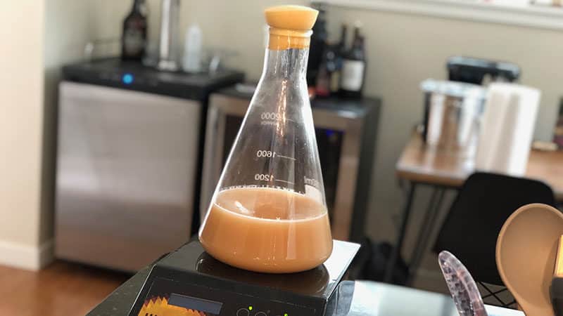 Yeast Starter